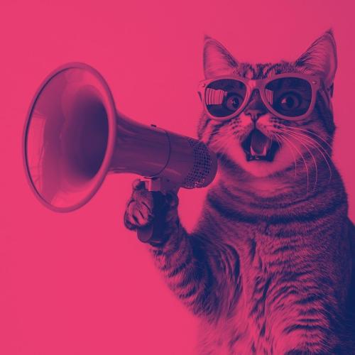 Piotr Żelachowski Piotr Żelachowski